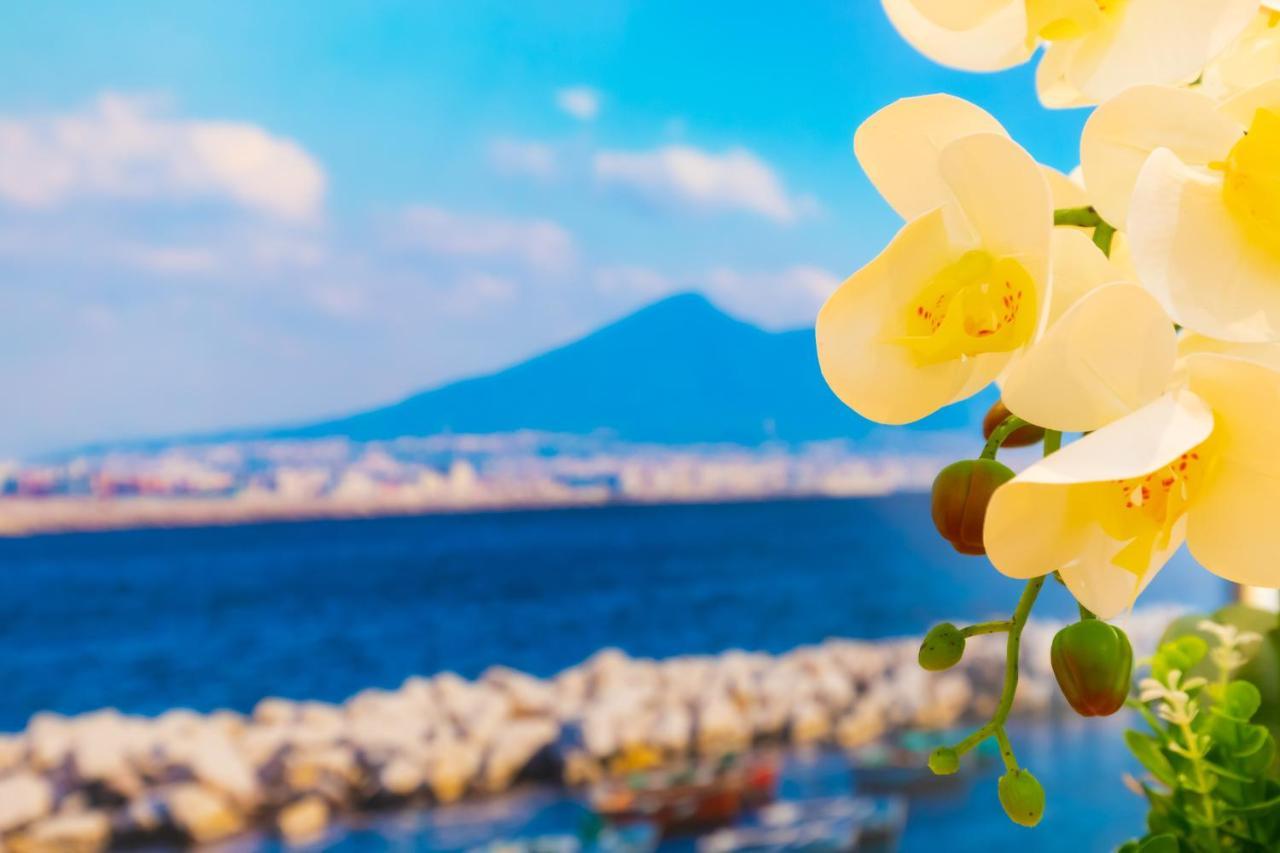 Le Meraviglie Di Napoli Dış mekan fotoğraf